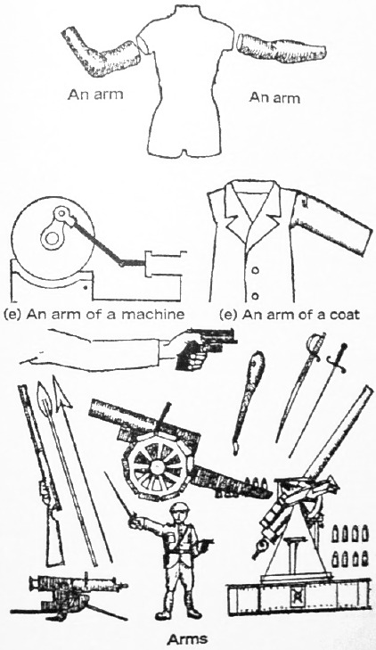 An arm; (e) An arm of a machine;
 (e) An arm of a coat; Arms (for war).